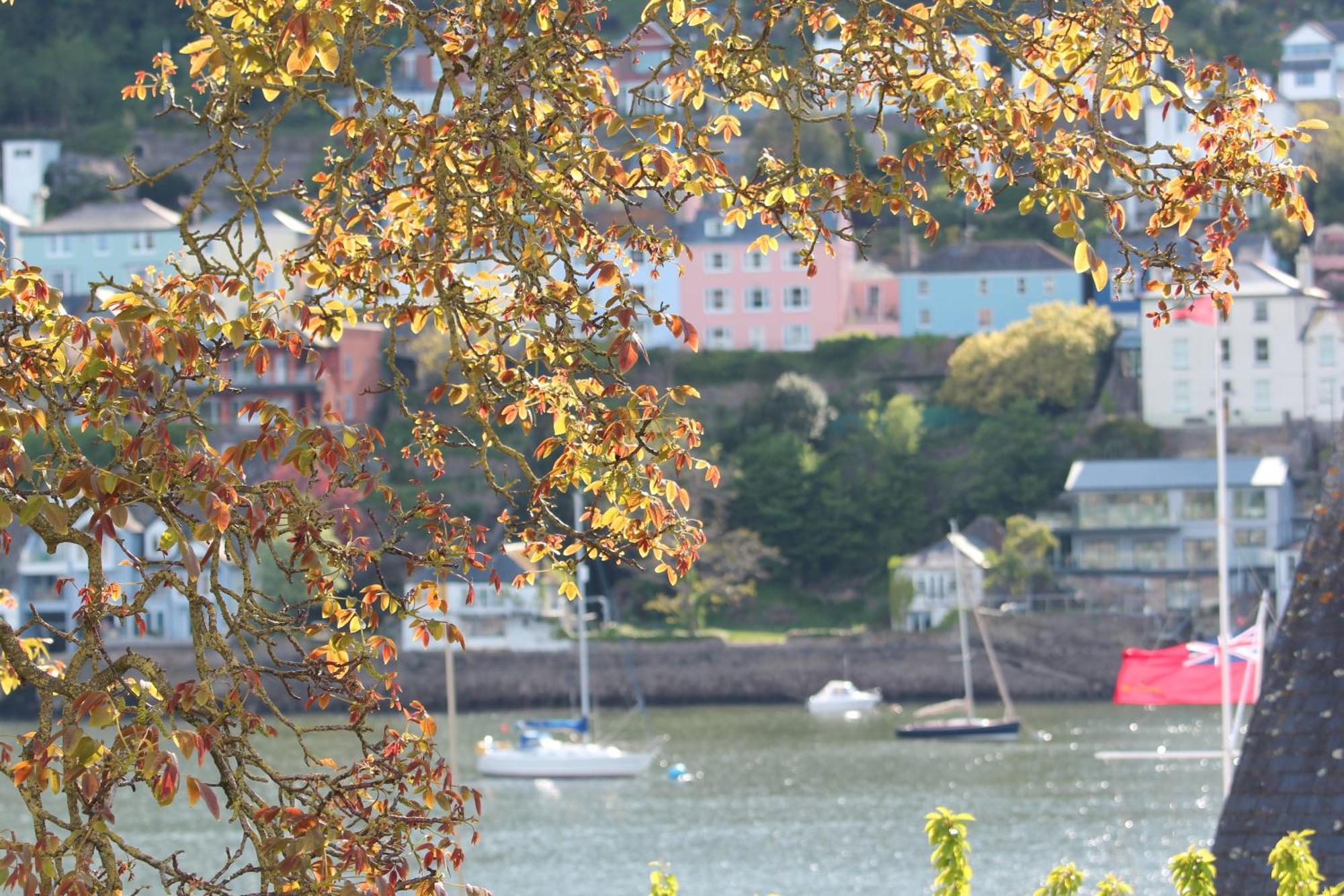 Judge'S Cottage Kingswear Exteriör bild